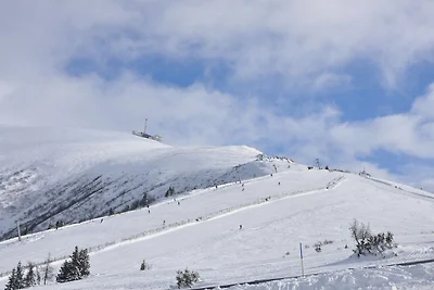 Almliebe-Feriendorf Koralpe