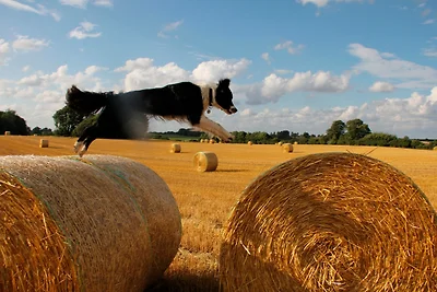 Appartamento Vacanza con famiglia Rieseby