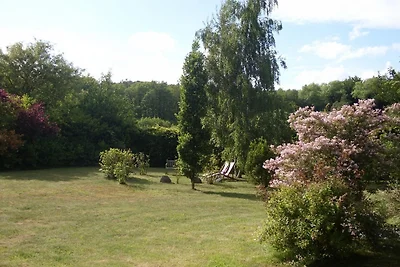 Reetdach - Ferienwohnung " Spann