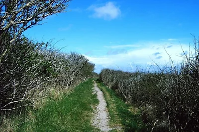 Inselresidenz Wattenmeer Wo.3