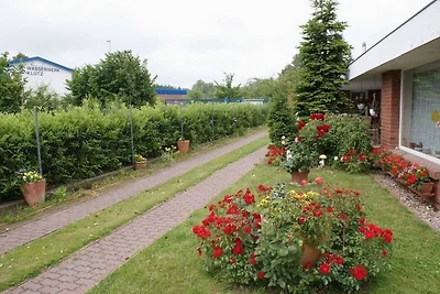 Ferienbungalow Klützer Winkel -