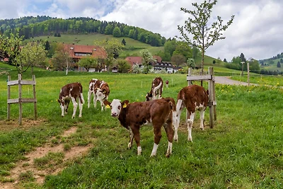 Vakantieappartement Gezinsvakantie Lörrach