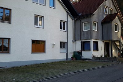 Vakantieappartement Gezinsvakantie Schönau im Schwarzwald