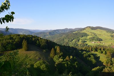 Vakantieappartement Gezinsvakantie Lörrach