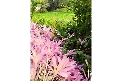 Die Malche Gäste und Tagungshaus