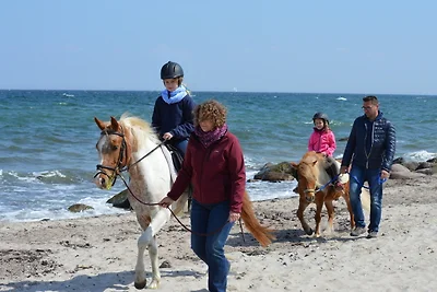 Vakantieappartement Gezinsvakantie Burg auf Fehmarn