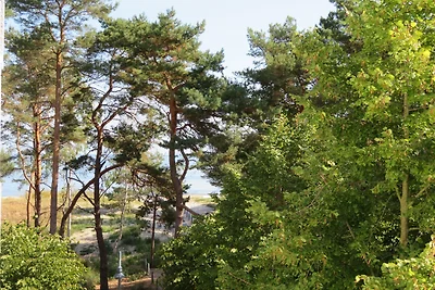 (Brise) Strandresidenz Else Marie