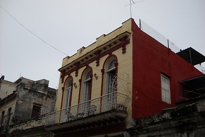 Casa Novo,La terraza de Concordia