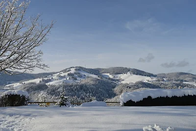 Vakantieappartement Gezinsvakantie Fröhnd