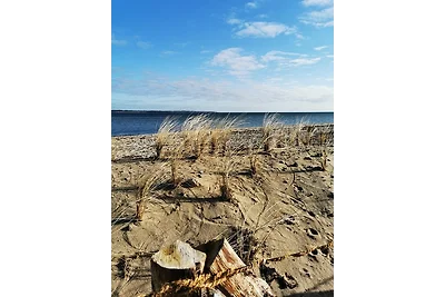 Vakantieappartement Gezinsvakantie Selk