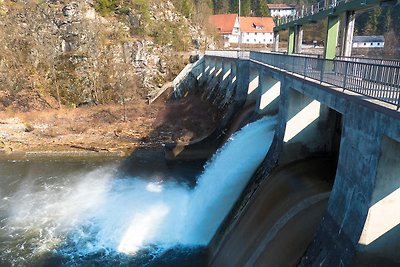 Vakantiehuis Ontspannende vakantie Waldmünchen