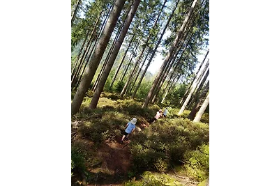 apartman za odmor Obiteljski odmor Baiersbronn