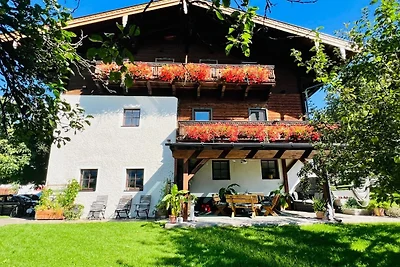 Apartment Steinkammer