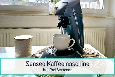 Usedom Apartmenthaus Fewo 2