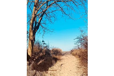 Vakantiehuis Ontspannende vakantie Ückeritz