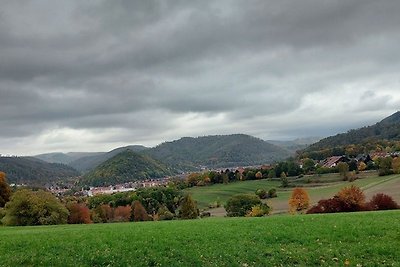 FeWo Bad Lauterberg