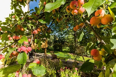 Casa vacanze Vacanza di relax Lindau