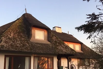 Teewelkenhüs Schwalbennest
