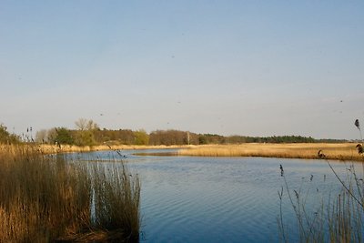 Vakantieappartement Gezinsvakantie Ahrenshagen-Daskow