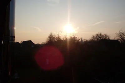 Das Fasanennest im Ankerhuus