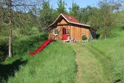 Sonniges, naturnahes Schwarzwald