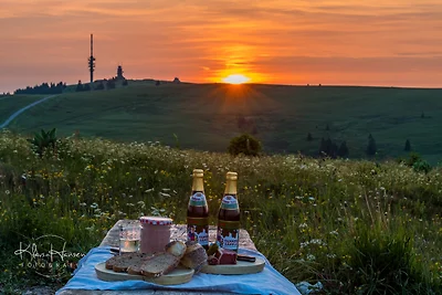Ferienwohnung "Mettmatalblick" mit