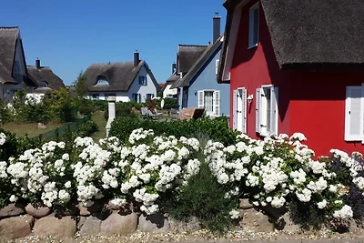 Domek letniskowy Urlop wypoczynkowy Glowe