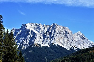 Apartment Wetterstein