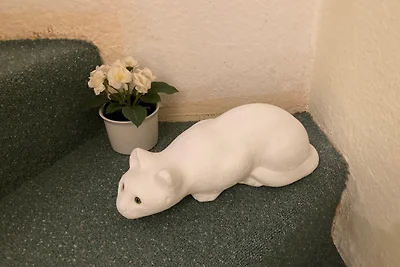 Ferienwohnung Iris I Ruhig &