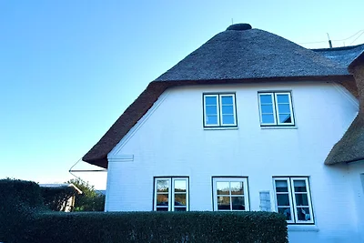 Deichhof Whg. "Lüttje Uttied"