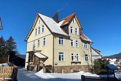 Luxus Apartment "Brocken"