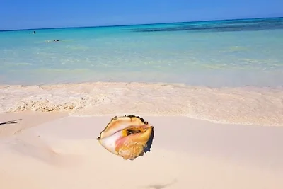 Appartamento Vacanza con famiglia Puerto Esperanza