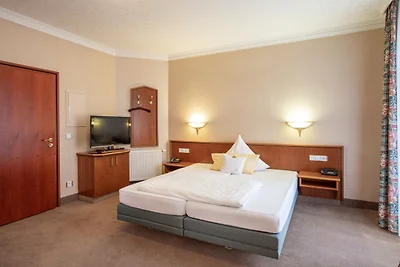 1 Raum Apartment grosser Balkon