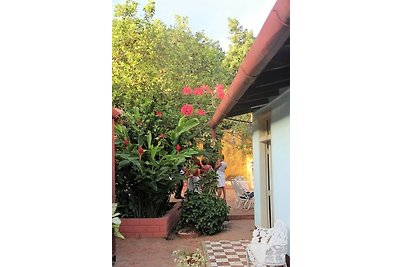 Appartement Vacances avec la famille Trinidad - Tobago