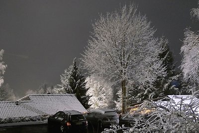 Vakantiehuis Ontspannende vakantie Biersdorf am See