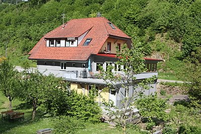 Haus Belchenwiese die Wohnung