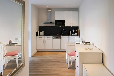 Lachmöwe, Haus an den Salzwiesen