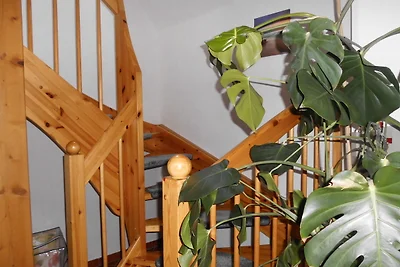 Casa vacanze Vacanza di relax Neuharlingersiel