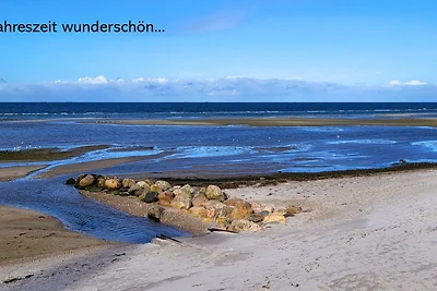 Vakantieappartement Gezinsvakantie Wendtorf