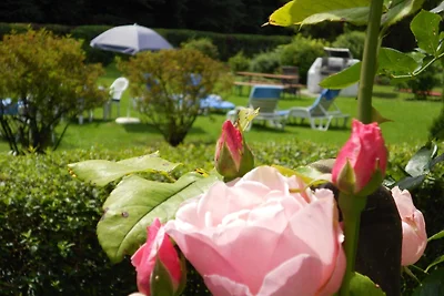 App. Typ Nr. 1 "Franz Marc"