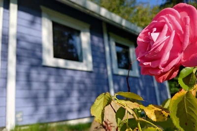 Casa vacanze Vacanza di relax Langballig