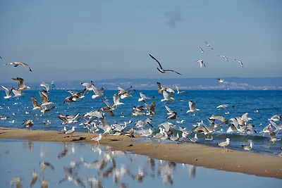 Urlaubsbahnhof - "Stellwerk"