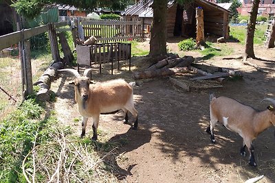 Ferienwohnung Sonnenschein mit