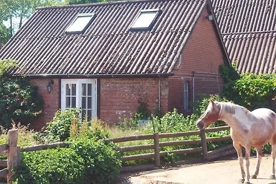 Pony-Ranch-Hütte