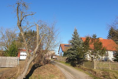 Blaues Haus-Urlaub mit Alpakas oder