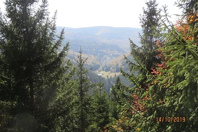 Vakantiehuis Ontspannende vakantie Marksuhl