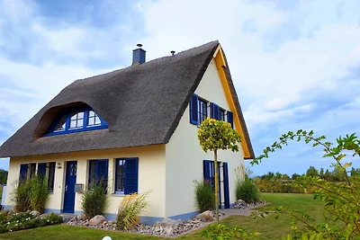 Reethaus "Lachmöwe*****"