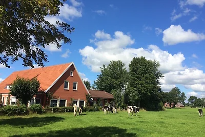 Ostfriesland Ferien Villa - 24