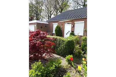 Schwalbennest Ostfriesland