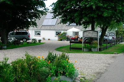 Vakantieappartement Gezinsvakantie Fehmarn